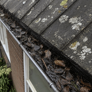 Dakgoot met regenwater en bladeren