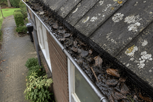 Dakgoot met bladeren en regenwater